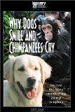 Why Dogs Smile and Chimpanzees Cry