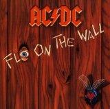 Fly on the Wall
